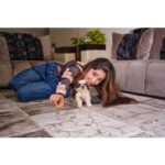 Ashnoor Kaur Instagram - Just an appreciation post for my baby @woof.ziggy because he behaved like a very good boy at the vet today🤍 . . Gorgeous carpet @carpetlivee Wearing @blossomscloset_