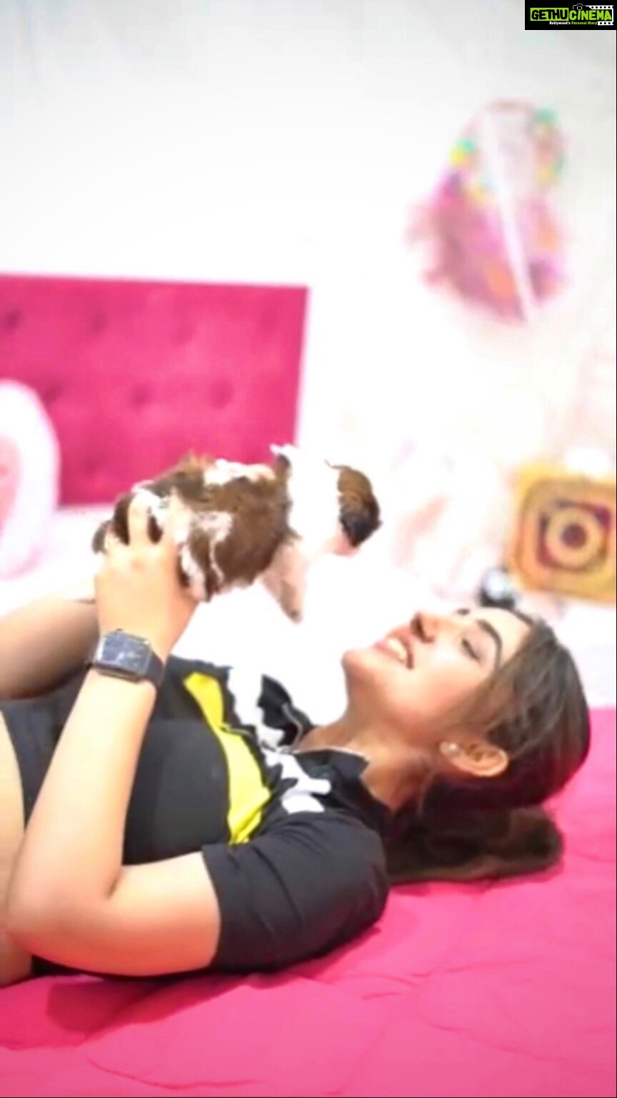 Ashnoor Kaur Instagram - Please welcome our new family member ‘Ziggy’🥺💗 @woof.ziggy
