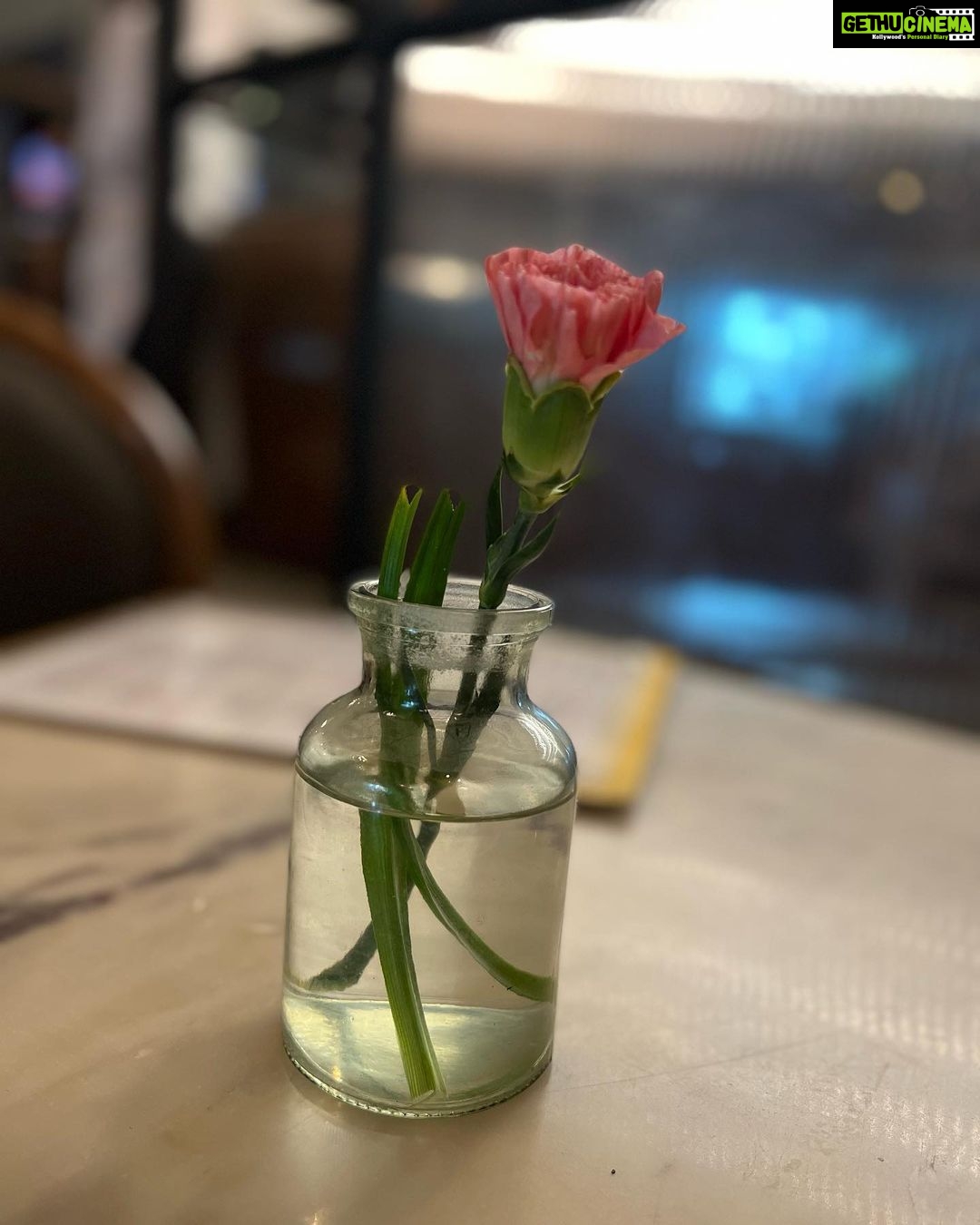 Ashnoor Kaur Instagram - Dressing caʒ to fancy restaurants is my new hobby👁👄👁