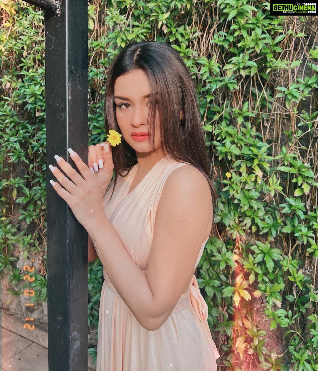 Avneet Kaur Instagram - The flower doesn’t dream of the bee. It blooms and the bee comes.🌼