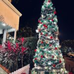 Avneet Kaur Instagram – Christmas Eve.🎄⛄️❄️🍪🥂 #christmasvibes #winter #holidayseason #clickedbyme Jehan Numa Palace Hotel