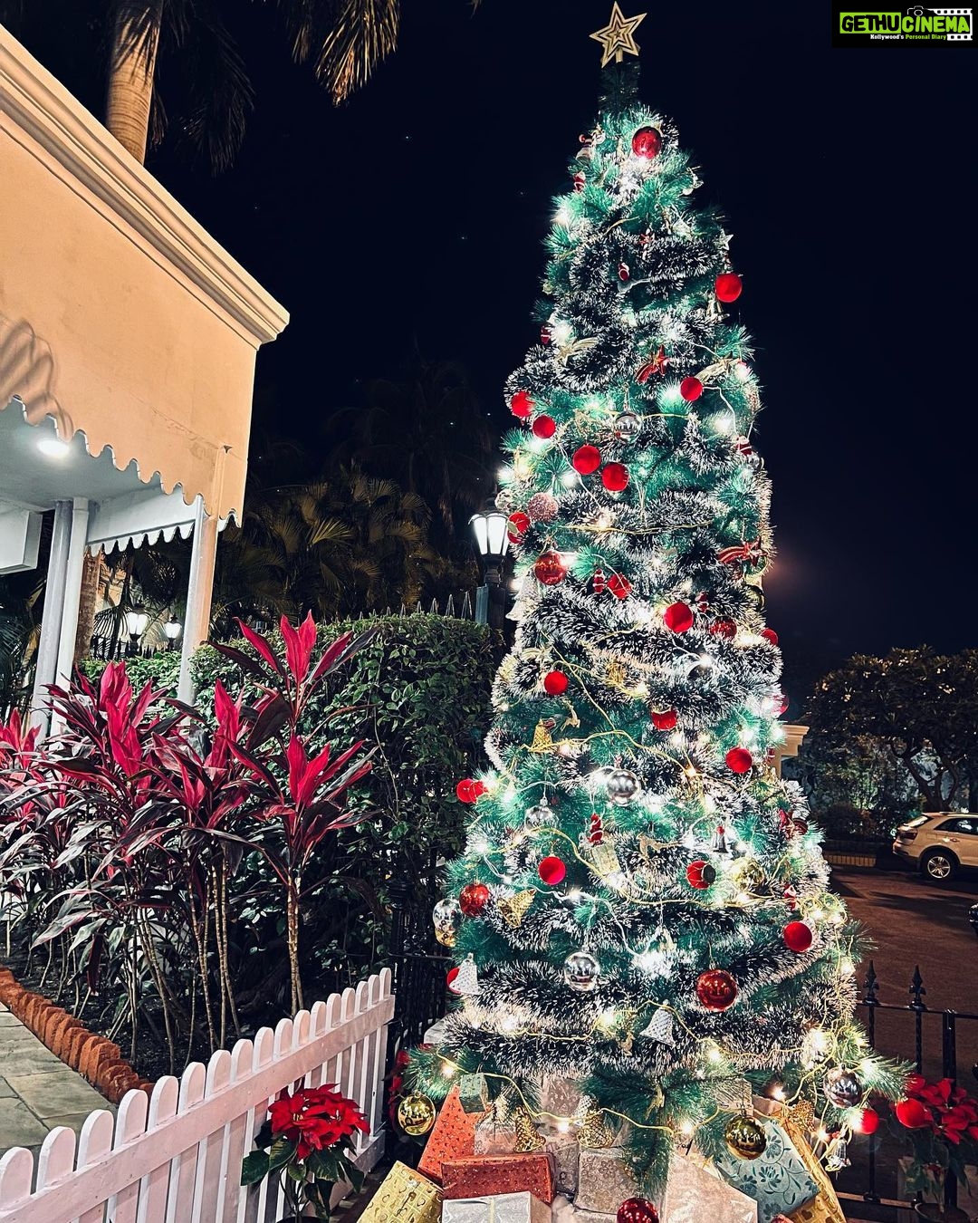 Avneet Kaur Instagram - Christmas Eve.🎄⛄️❄️🍪🥂 #christmasvibes #winter #holidayseason #clickedbyme Jehan Numa Palace Hotel