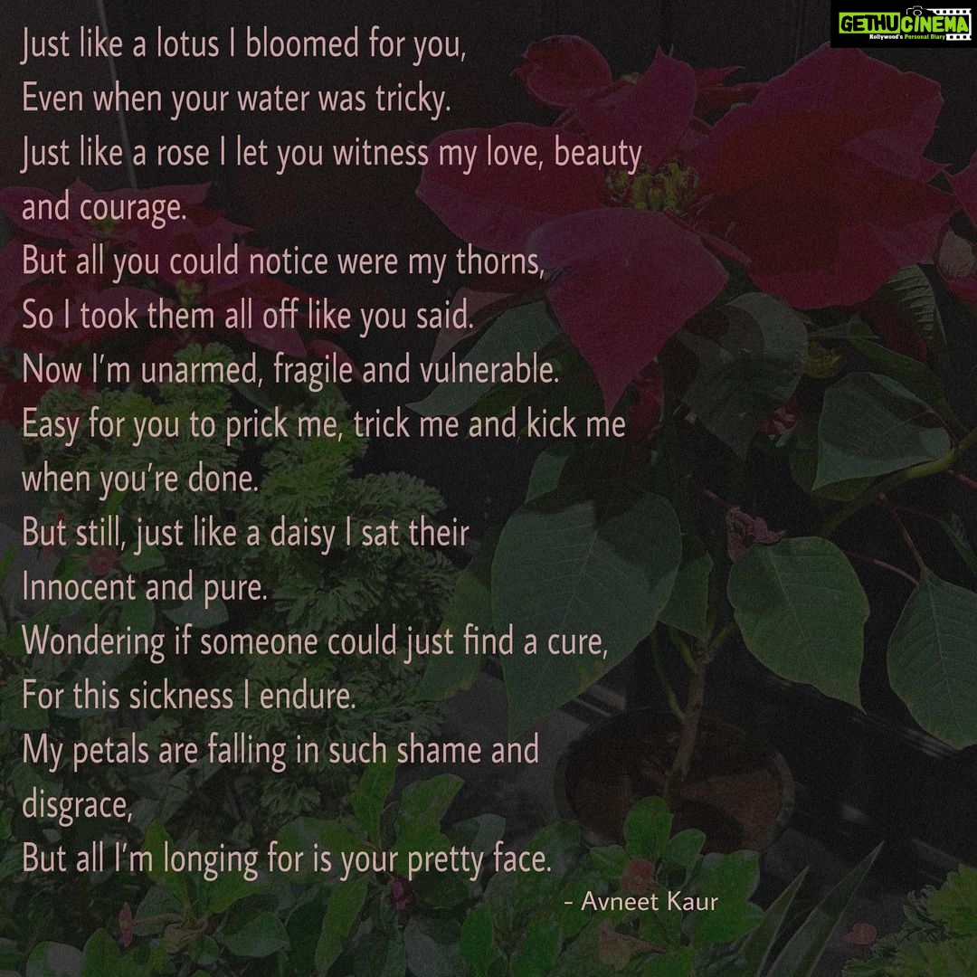 Avneet Kaur Instagram - πΉπΌπ·π₯πΊπ» #flowers #newone #kaurscribbles #avneetwritespoems #writtenbyme #shotbyme