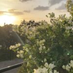 Avneet Kaur Instagram - Live while you’re alive.💕🍂🥀✨🌸 #traveldiaries #nature