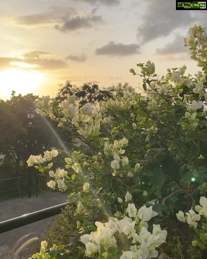 Avneet Kaur Instagram - Live while youβre alive.πππ₯β¨πΈ #traveldiaries #nature