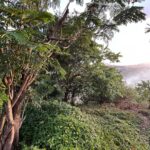 Avneet Kaur Instagram - Live while you’re alive.💕🍂🥀✨🌸 #traveldiaries #nature