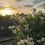 Avneet Kaur Instagram - Live while you’re alive.💕🍂🥀✨🌸 #traveldiaries #nature