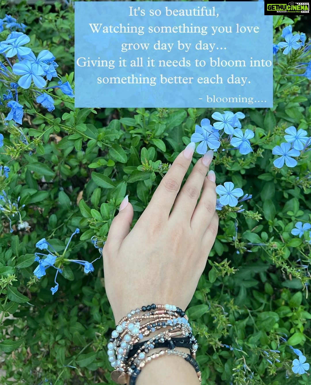 Avneet Kaur Instagram - πΈπ»πΉπΌ #newone #bloom #writtenbyme #kaurscribbles #avneetwritespoems #quotes #quoteoftheday