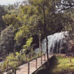 Avneet Kaur Instagram - Karnataka photo dump 2022 🌧📸🍂📖🎵🌲