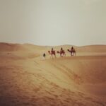 Avneet Kaur Instagram - My camel giving better pose than me. 🐪🤪 Jaisalmer, Thar Desert, India