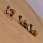 Avneet Kaur Instagram - My camel giving better pose than me. 🐪🤪 Jaisalmer, Thar Desert, India