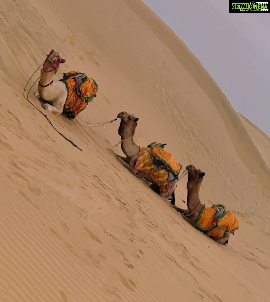 Avneet Kaur Instagram - My camel giving better pose than me. 🐪🤪 Jaisalmer, Thar Desert, India