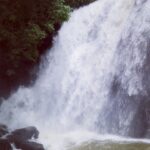 Avneet Kaur Instagram - Karnataka photo dump 2022 🌧📸🍂📖🎵🌲