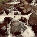 Avneet Kaur Instagram – Karnataka photo dump 2022 🌧📸🍂📖🎵🌲