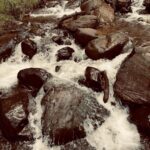 Avneet Kaur Instagram - Karnataka photo dump 2022 🌧📸🍂📖🎵🌲