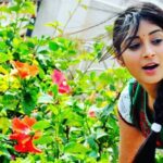 Bhanu Sri Mehra Instagram - Andamaina ammai 😉❤ #bhanumathi #singlepice #yoogirl #bhanusree🔥❤️