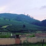 Bhanu Sri Mehra Instagram - Nurture love 💘 ❤ 💕 Shoot gap lo timepass #ootywibes #ooty #love #happymood #peaceful #chill #selfhappy #bhanusree #southindianactress #tollywoodactresses #bhanusree🔥❤️ #bhanupilla