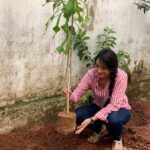 Bhanu Sri Mehra Instagram - Accepted #greenindiachallenge frm @MPsantoshtrs Garu planted 3 saplings & now invite @rojaselvamani @jabardasth_getup_srinu @priyaartist @jabardasth_avinash #chamkchandra to plant 3 trees & invite 3 to continue the chain. Congratulations @MPsantoshtrs Garu for taking this great initiative. #HaraHaiToBharaHai thank you so much @vamshireddy_gudi