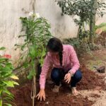 Bhanu Sri Mehra Instagram - Accepted #greenindiachallenge frm @MPsantoshtrs Garu planted 3 saplings & now invite @rojaselvamani @jabardasth_getup_srinu @priyaartist @jabardasth_avinash #chamkchandra to plant 3 trees & invite 3 to continue the chain. Congratulations @MPsantoshtrs Garu for taking this great initiative. #HaraHaiToBharaHai thank you so much @vamshireddy_gudi