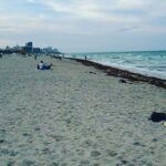 Bhanu Sri Mehra Instagram - Walking along the Miami coast 🏖️ Miami Beach, Florida