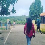Bhanu Sri Mehra Instagram - Jog water falls in karnataka . #waterfalls #karnataka #workmode #shoots #actorslife #busy #bhanusree🔥❤️