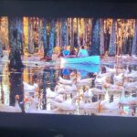 Bhanu Sri Mehra Instagram - Just see the nature with love 🦢❤ #nuture #beautiful #nuturelover #peace #happy #nuture #bhanusree🔥❤️