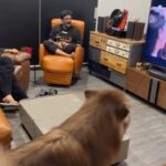 Charmy Kaur Instagram – Our pet dog singing #WaatLagaDenge 

#Liger
#ligeronaug25th 

@thedeverakonda @ananyapanday  @miketyson @karanjohar #PuriJagannadh @charmmekaur @apoorva1972 @ronitboseroy @meramyakrishnan @vish_666 @sunilkashyapwav @dharmamovies @puriconnects @sonymusicindia @sonymusic_south @aafilms.official