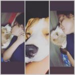 Hari Teja Instagram – My reason to wakeup every morning..❤️ endless love … my laddu gadu …😘😘❤️❤️