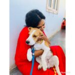 Hari Teja Instagram - Truest thing in life ❤️ #laddu #precious #mybaby #love ❤️