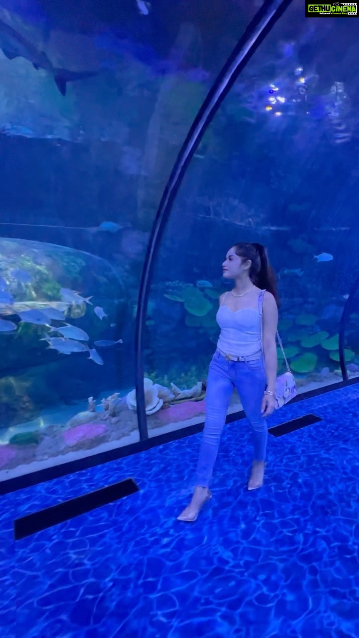 Jannat Zubair Rahmani Instagram - 🦈🫶🏻❤️🥹 @visitabudhabi @thenationalaq @alqana_ae #SummerInAbuDhabi 💃🏻