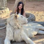 Jannat Zubair Rahmani Instagram - In my own khatron ke khiladi zone 😛🤙🏻 Disclaimer: none of these animals were abused or drugged; they are rescued. Kept in Good Nature Condition, very well fed and taken care of by @uae_lionking. Thank you for arranging the visit and making us experience the wild animals @masoud_alhammad @abdul_ark_ & imh_75
