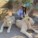 Jannat Zubair Rahmani Instagram - In my own khatron ke khiladi zone 😛🤙🏻 Disclaimer: none of these animals were abused or drugged; they are rescued. Kept in Good Nature Condition, very well fed and taken care of by @uae_lionking. Thank you for arranging the visit and making us experience the wild animals @masoud_alhammad @abdul_ark_ & imh_75