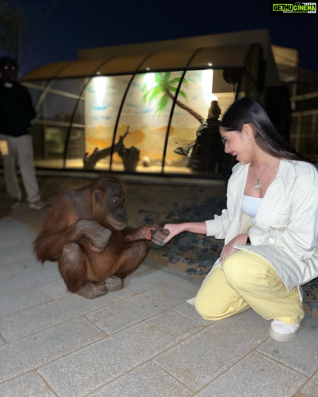 Jannat Zubair Rahmani Instagram - In my own khatron ke khiladi zone ππ€π» Disclaimer: none of these animals were abused or drugged; they are rescued. Kept in Good Nature Condition, very well fed and taken care of by @uae_lionking. Thank you for arranging the visit and making us experience the wild animals @masoud_alhammad @abdul_ark_ & imh_75