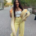 Jannat Zubair Rahmani Instagram - In my own khatron ke khiladi zone 😛🤙🏻 Disclaimer: none of these animals were abused or drugged; they are rescued. Kept in Good Nature Condition, very well fed and taken care of by @uae_lionking. Thank you for arranging the visit and making us experience the wild animals @masoud_alhammad @abdul_ark_ & imh_75
