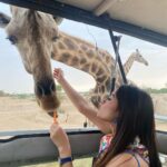 Jannat Zubair Rahmani Instagram - Never knew that I love them so much!🥺🫶🏻❤️ @alainzoouae @visitabudhabi #jzee #summerinabudhabi #alainzoo Al Ain Zoo