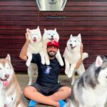 Kalidas Jayaram Instagram - Thanks FUR the memories . . @pickyourtrail @larkholidays_thailand