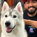 Kalidas Jayaram Instagram - Cutest everrrrrrr😘❤️ @neverlandsiberians @pickyourtrail @larkholidays_thailand @movenpickbangkoksukhumvit15 Husky Cafe, Bangkok