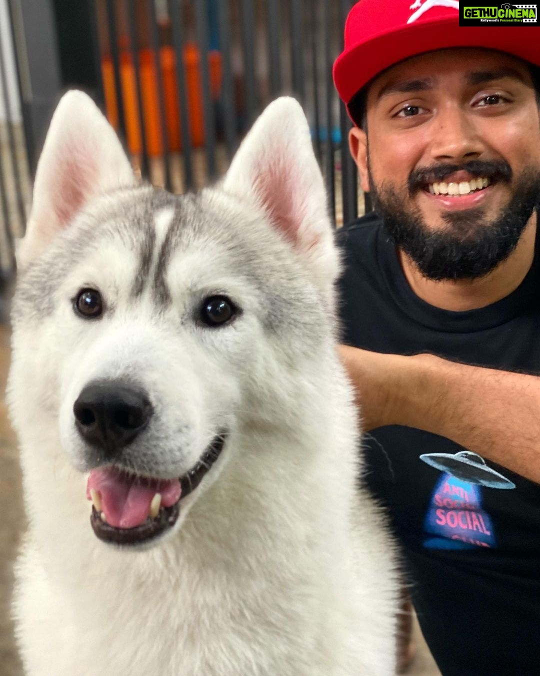 Kalidas Jayaram Instagram - Cutest everrrrrrršā¤ļø @neverlandsiberians @pickyourtrail @larkholidays_thailand @movenpickbangkoksukhumvit15 Husky Cafe, Bangkok