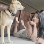 Kaniha Instagram - I adopted Maggie during the covid 2020 season. The moment I spotted her on @dogsofmadras ,I knew I wanted to giver her a home. I was initially skeptical to have another pet after I lost my first, I was scared to go through the whole love,loss Rollercoaster. But this girl ,the moment she landed on my lap changed my world..filled it with so much of love,naughtiness n craziness. She's a big part of us today. She turns 2 today 🤗🤗 Incase you are reading this and contemplating on becoming a petowner, I have a little teeny weeny request. Please adopt a pet. Give them a home, Show them love. They will love you back hundred folds. #petaindia #dogsofmadras #indiepup #indie #adootdontshop Chennai, India