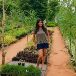 Kaniha Instagram - #shopping #planttherapy#plantnursery#green #flora#iloveplants