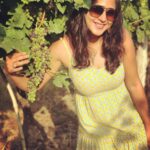Kaniha Instagram - "Life is like wine Gets better with time." Why whine? ❣ #vinyard #bigbanyan #bigbanyanvineyards #grape Big Banyan Vineyard