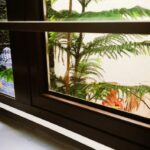 Kaniha Instagram - What's outside my window.😊😊 If you dont like what you wake upto every morning outside your balcony or window just hang a pic of the scenery that you wish to wake upto.Imagine and visualize yourself there every morning..your day will start sooo right.. I always wanted and imagined myself to wake upto greenery,water and Budha..I finally made it happen.. That's a peek show outta my window. Sound of water, the sight of Budha and the green gives me an instant boost of positivity to begin my day with. Have a great Sunday I love the month of Februaray and this year is an even special leap year.. Oh by the way today is 02.02.2020 ❤ Home Sweet Home