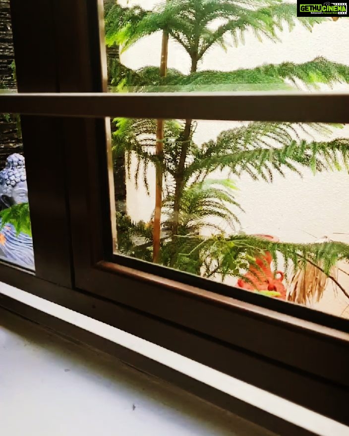 Kaniha Instagram - What's outside my window.😊😊 If you dont like what you wake upto every morning outside your balcony or window just hang a pic of the scenery that you wish to wake upto.Imagine and visualize yourself there every morning..your day will start sooo right.. I always wanted and imagined myself to wake upto greenery,water and Budha..I finally made it happen.. That's a peek show outta my window. Sound of water, the sight of Budha and the green gives me an instant boost of positivity to begin my day with. Have a great Sunday I love the month of Februaray and this year is an even special leap year.. Oh by the way today is 02.02.2020 ❤ Home Sweet Home