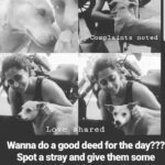 Kaniha Instagram - Doing a good deed isn't that hard. We often forget to take notice of the many lovable strays around our neighbourhood who guard our streets.. Go ahead..spot your fav stray..feed him some food and water..click a pic and send em over to my inbox..puleeeeeezzz😊 I promise I'll post it if you'd like it.. I'm so happy for the pics y'all have been sending me feeding our indies..even if we are able make a difference to a few doggies around us...that'smore than enough for me❤ #feedadog Ps:Dog haters,Stray haters pls sont dis/hate this post.i am not forcing anyone here. #doglover #straydogsofinstagram #indiedogs #feedadog #kaniha Chennai, India