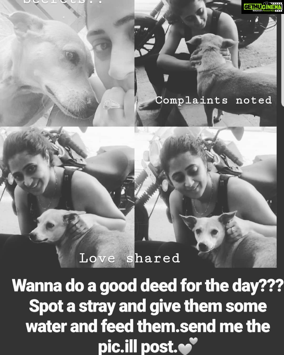Kaniha Instagram - Doing a good deed isn't that hard. We often forget to take notice of the many lovable strays around our neighbourhood who guard our streets.. Go ahead..spot your fav stray..feed him some food and water..click a pic and send em over to my inbox..puleeeeeezzz😊 I promise I'll post it if you'd like it.. I'm so happy for the pics y'all have been sending me feeding our indies..even if we are able make a difference to a few doggies around us...that'smore than enough for me❤ #feedadog Ps:Dog haters,Stray haters pls sont dis/hate this post.i am not forcing anyone here. #doglover #straydogsofinstagram #indiedogs #feedadog #kaniha Chennai, India