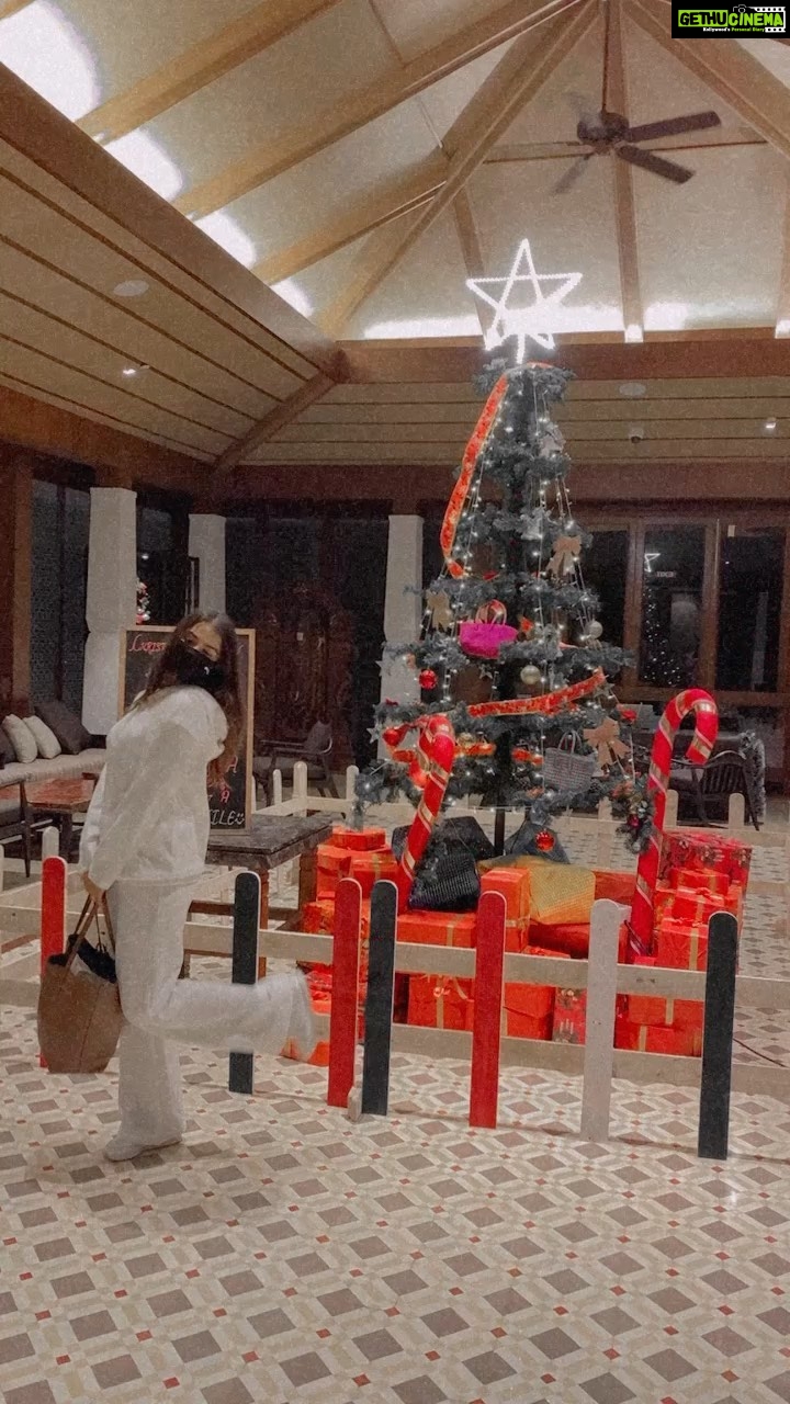 Kavya Thapar Instagram - Everyone got one with the treeeee ππ
π»β€οΈ #soheresmine #tistheseason βΊοΈ Hilton Goa Resort