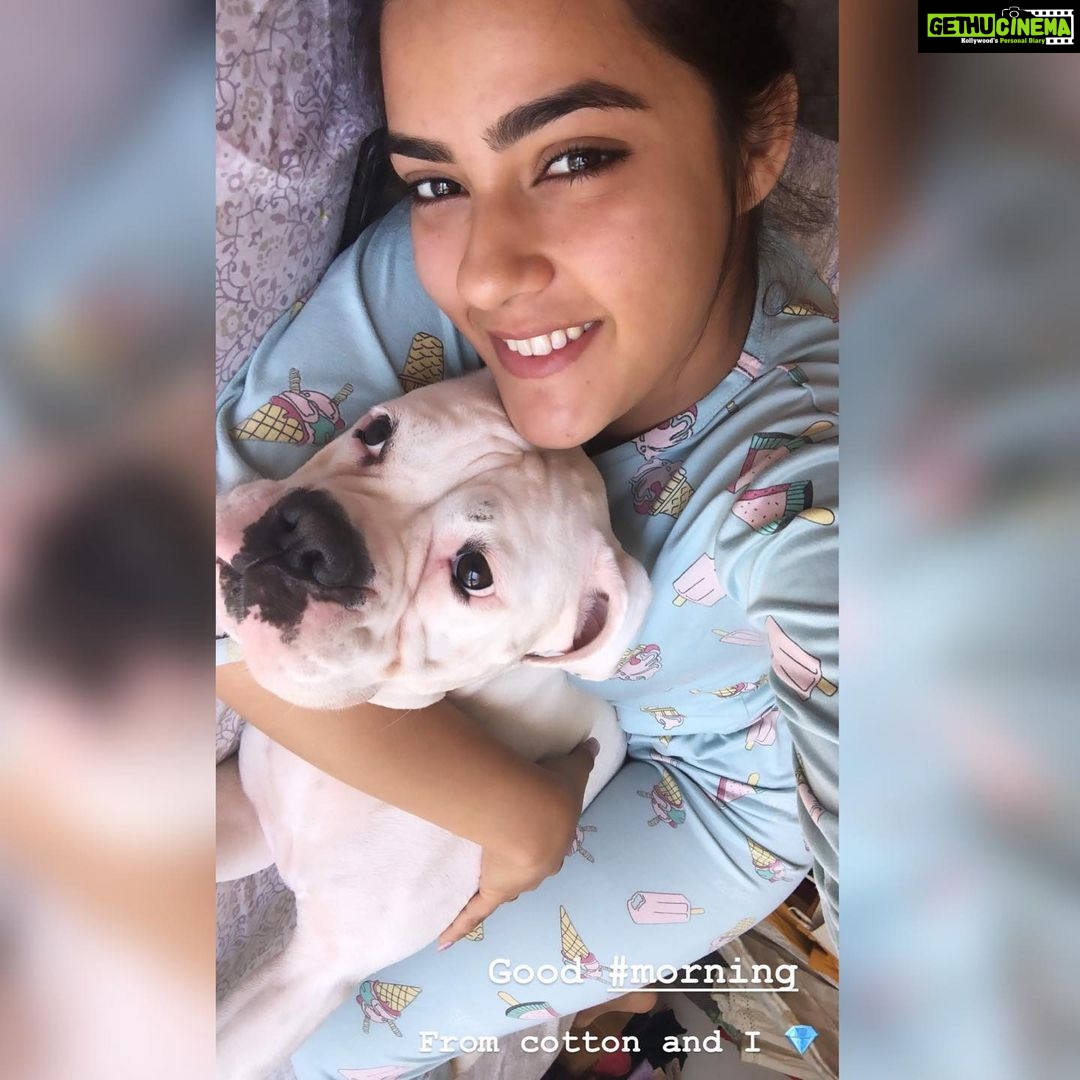 Kavya Thapar Instagram - 2.05.2014 - 1.03.2022 š¶š« Writing this with an immensely heavy heart today ⦠My beautiful smart funny expressive daughter, my shmall baby, my angel, my ball of craziness, the perfect combination of love and madness, youāve left us with so many memories thatāll stay with us forever even if you couldnāt. Gone way too soon leaving a silence and void in my heart and soul thatāll echo forever from within. This house is now empty and itāll never be the same without having you come greet me when Iām back home.. I love you Cotton and no one can ever replace you or match your energy, I miss you with each passing second, I miss your morning hugs, your kisses and your constant need of attention, I miss experimenting wigs and make up with you and going absolutely ballistic in our living room creating an unbearable chaos ⦠Your paws are engraved in me forever .. until we reunite again my soulmate ā¤ļø I love you meri jaan, may you rest in peace š¶š¾š„ŗā¤ļø Mumbai, Maharashtra