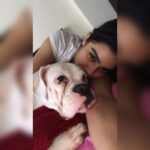 Kavya Thapar Instagram - 2.05.2014 - 1.03.2022 🐶🫂 Writing this with an immensely heavy heart today … My beautiful smart funny expressive daughter, my shmall baby, my angel, my ball of craziness, the perfect combination of love and madness, you’ve left us with so many memories that’ll stay with us forever even if you couldn’t. Gone way too soon leaving a silence and void in my heart and soul that’ll echo forever from within. This house is now empty and it’ll never be the same without having you come greet me when I’m back home.. I love you Cotton and no one can ever replace you or match your energy, I miss you with each passing second, I miss your morning hugs, your kisses and your constant need of attention, I miss experimenting wigs and make up with you and going absolutely ballistic in our living room creating an unbearable chaos … Your paws are engraved in me forever .. until we reunite again my soulmate ❤️ I love you meri jaan, may you rest in peace 🐶🐾🥺❤️ Mumbai, Maharashtra
