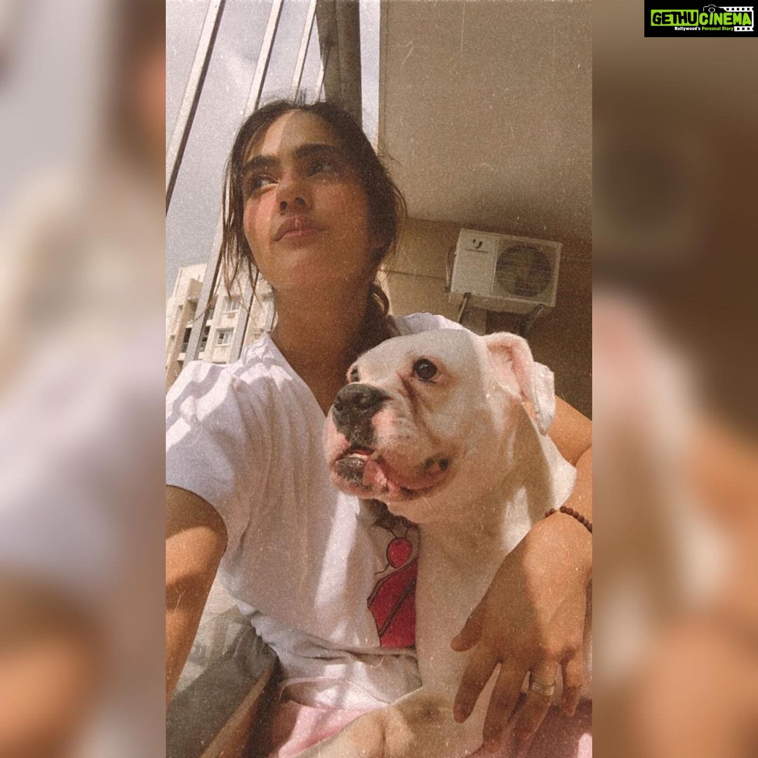 Kavya Thapar Instagram - 2.05.2014 - 1.03.2022 š¶š« Writing this with an immensely heavy heart today ⦠My beautiful smart funny expressive daughter, my shmall baby, my angel, my ball of craziness, the perfect combination of love and madness, youāve left us with so many memories thatāll stay with us forever even if you couldnāt. Gone way too soon leaving a silence and void in my heart and soul thatāll echo forever from within. This house is now empty and itāll never be the same without having you come greet me when Iām back home.. I love you Cotton and no one can ever replace you or match your energy, I miss you with each passing second, I miss your morning hugs, your kisses and your constant need of attention, I miss experimenting wigs and make up with you and going absolutely ballistic in our living room creating an unbearable chaos ⦠Your paws are engraved in me forever .. until we reunite again my soulmate ā¤ļø I love you meri jaan, may you rest in peace š¶š¾š„ŗā¤ļø Mumbai, Maharashtra