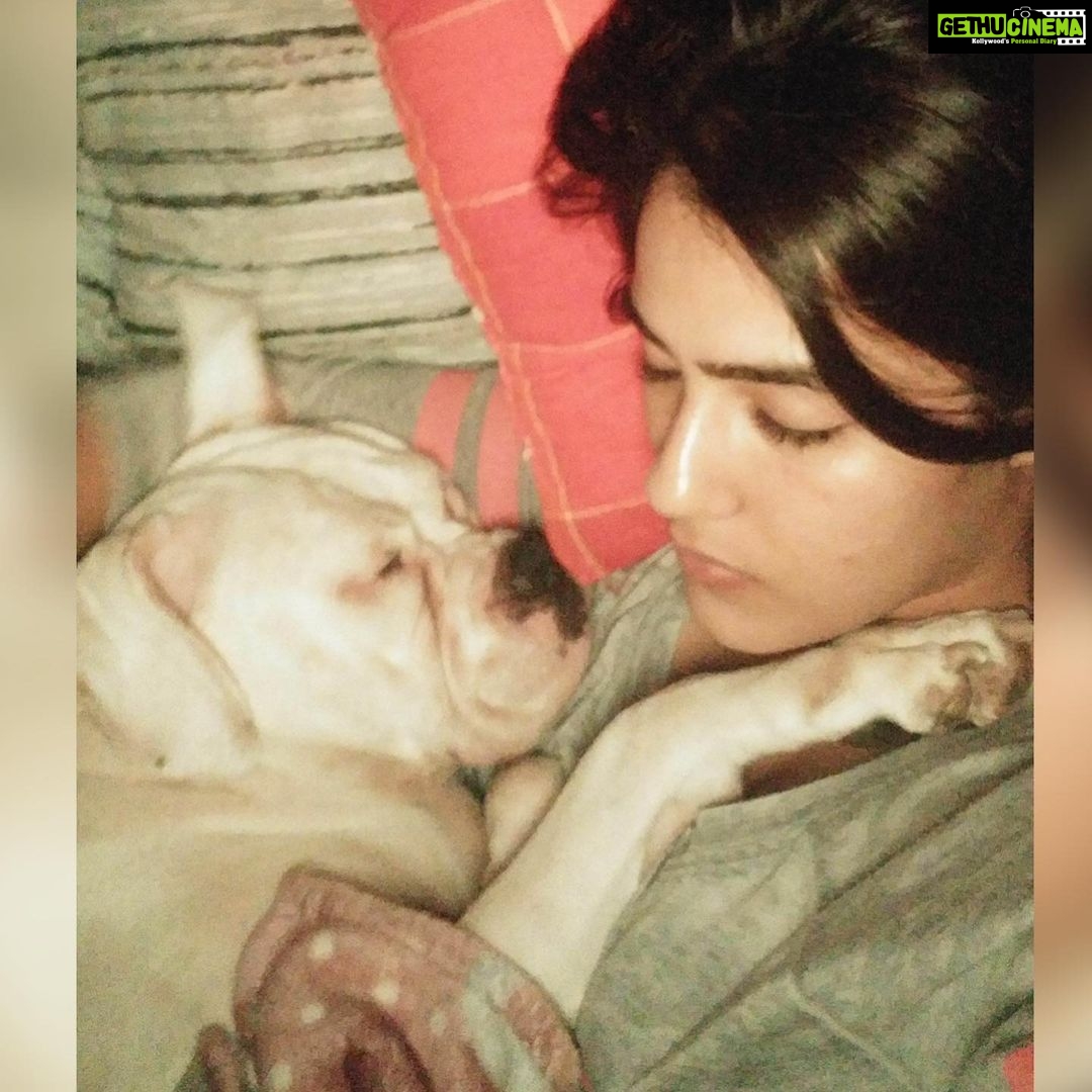Kavya Thapar Instagram - 2.05.2014 - 1.03.2022 š¶š« Writing this with an immensely heavy heart today ⦠My beautiful smart funny expressive daughter, my shmall baby, my angel, my ball of craziness, the perfect combination of love and madness, youāve left us with so many memories thatāll stay with us forever even if you couldnāt. Gone way too soon leaving a silence and void in my heart and soul thatāll echo forever from within. This house is now empty and itāll never be the same without having you come greet me when Iām back home.. I love you Cotton and no one can ever replace you or match your energy, I miss you with each passing second, I miss your morning hugs, your kisses and your constant need of attention, I miss experimenting wigs and make up with you and going absolutely ballistic in our living room creating an unbearable chaos ⦠Your paws are engraved in me forever .. until we reunite again my soulmate ā¤ļø I love you meri jaan, may you rest in peace š¶š¾š„ŗā¤ļø Mumbai, Maharashtra